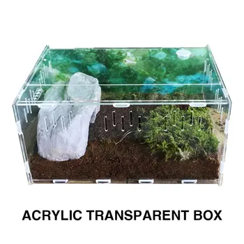 

Transparent Reptile Box Reptile Terrarium Pet Box Cold Blooded Animals Home Decoration Insect Acrylic Portable