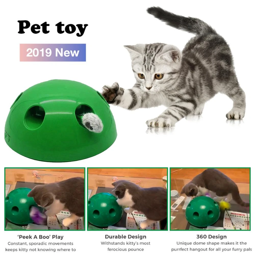 pop n play cat toy