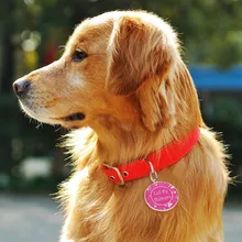 Ошейник для домашних собак из нержавеющей стали, идентификационная бирка, ярлык для секса, индивидуальный воротник для домашних собак, кошек(не гравировка