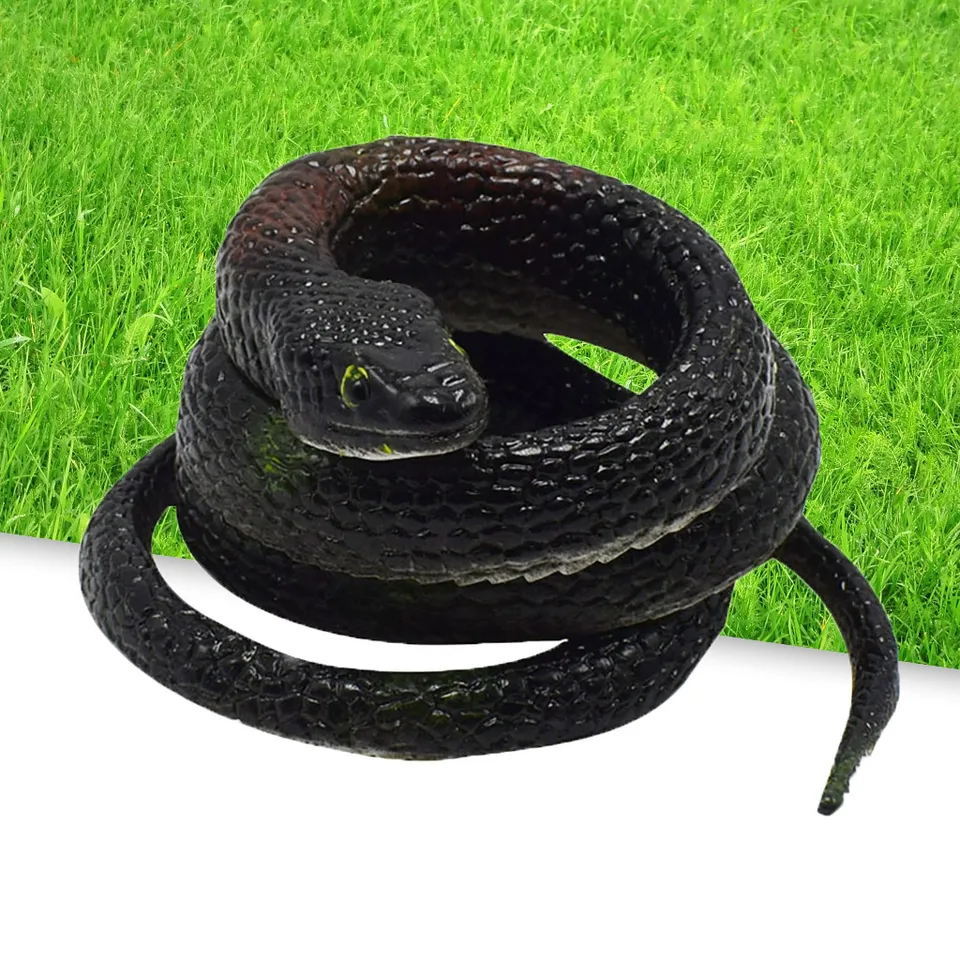squishy snake
