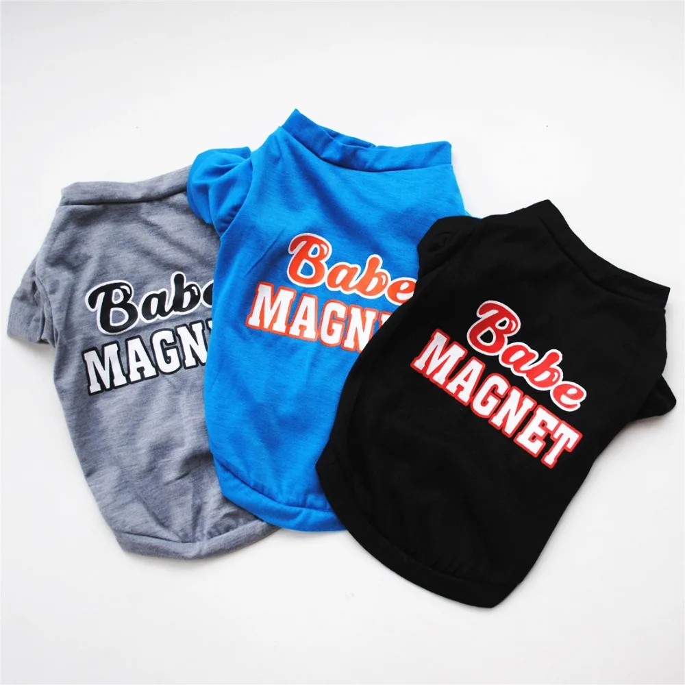 9116117354_361259826