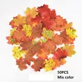 Maple leaves