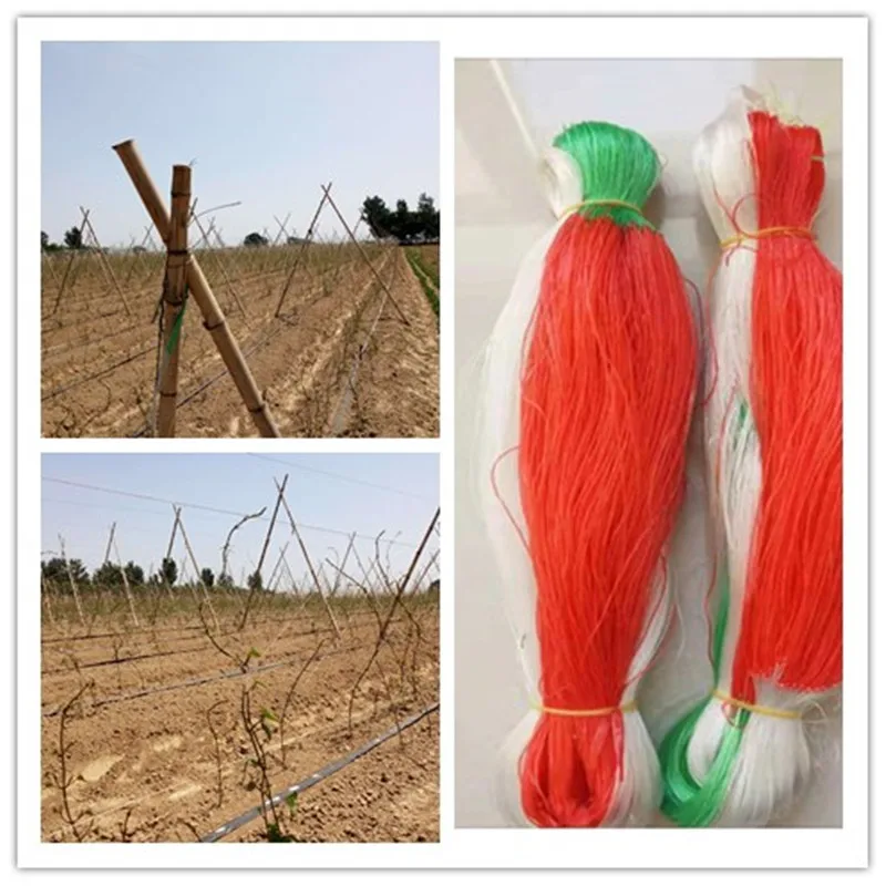 Plant Plants climbing rattan net cucumber net Horticulture Yam gardening 2m*50m 70m 100m