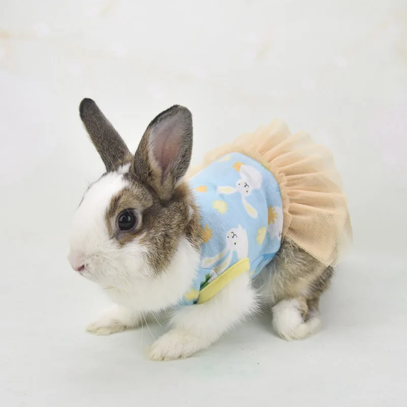 Ropa de conejito para conejos enanos, Disfraces para disfrazarse