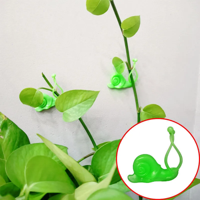 

Green flower fixer snail vine climbing wall plant nail-free wall sticking self adhesive hook wall climbing vine without trace