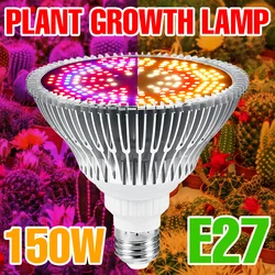 Lampe horticole de croissance LED E27, Phyto, spectre complet, éclairage pour culture hydroponique de plantes, serre, fleurs, semis, boîte de culture 