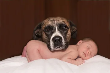 

Puppy Kids Infant Foreign Trade Wholesale Graphic Customization man xiu Diamond Painting