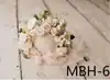 MBH-6