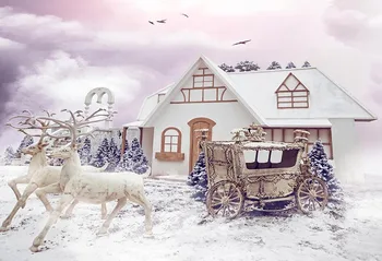 

Vintage carriage background photography vinyl child birthday winter photo backdrops for photo studio props fotografia lv-2448