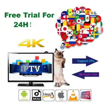 

TV Stick Arabic 1 Year warranty M3u Poland Turkey Arabic Portugal Italy xxx For Andorid TV Box Albania for Pc VLC engima2
