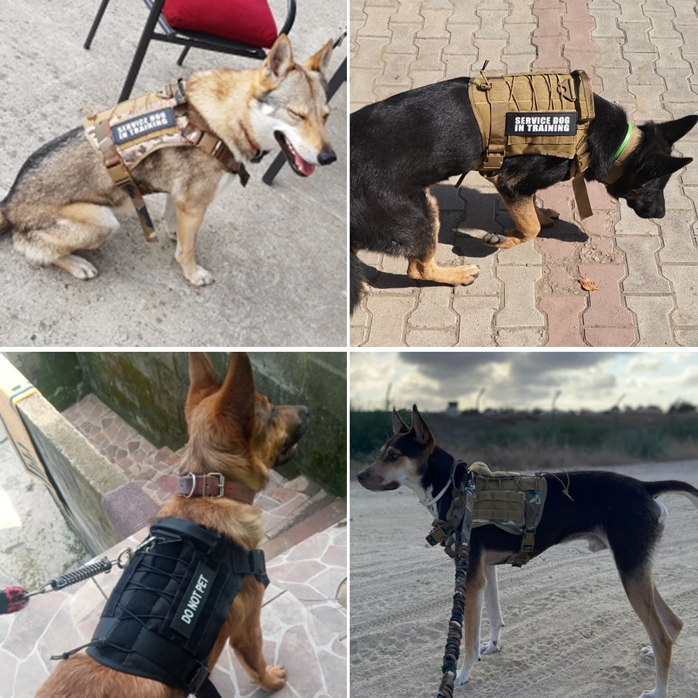 Tactical Training Dog Vest