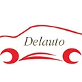 Delauto Monitor Store