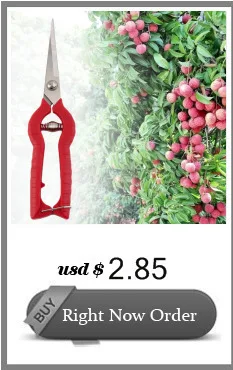 Подрезка растений в садоводстве ножницы Снип Инструмент Секатор ножничный филиал резак замок пружина по всему миру магазин