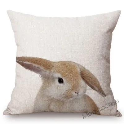 conew_t215 (24) 副本