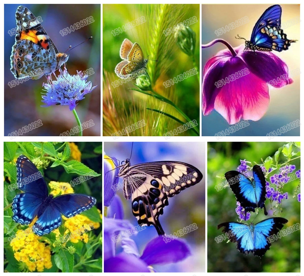 Полная круглая роспись из бриллиантов Алмазная картина Стразы вышивка цветок с