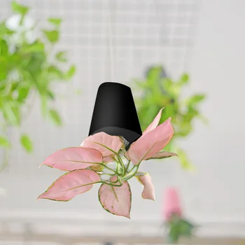 

Aerial Small Flower Box Upside Down Garden Hanging Flowerpot Storage Basket Home Decoration Accessories