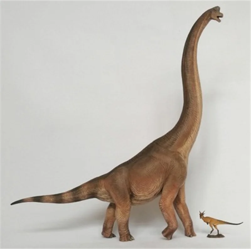

for collection1/35 Scale Brachiosaurus Dinosaur Long-necked Dragon Animal Display Model Statue Museum Collection Decoration Gift
