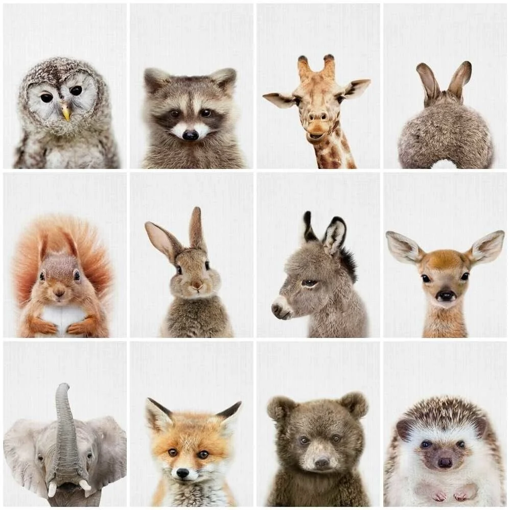 5.4.jpg_.webp 5.4.jpg_.webp