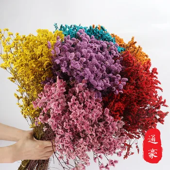 

Preserved Fresh Flower Preserved Flower shui jing cao Real Flowers Dried Flower Flower Arrangement Bouquet Supporting hua cai li