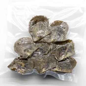 

Akoya Oyster Freshwater Oyster/Red Shell with Round Pearl Inside Pearl Oyster for Party Mix 70 Colors Single Oyster 10Pcs/Bag P8