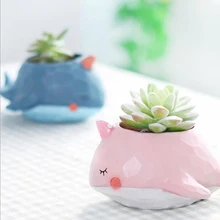 Desk Decorate Flower Pot Green Planter Small Size Resin Animal Shape Dolphine Whale Crocodile Cute Ornaments