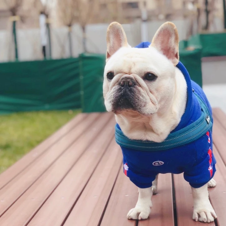 Французская одежда для бульдога собака толстовка Adidog теплая спортивная ретро для собак Толстовка с капюшоном Домашние животные одежда для щенков и Собак Мопс щенок одежда чихуахуа