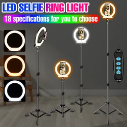Anneau lumineux LED avec trépied rond, USB, intensité variable, éclairage annulaire pour photographie, maquillage, vidéo Youtube en direct, 5V 