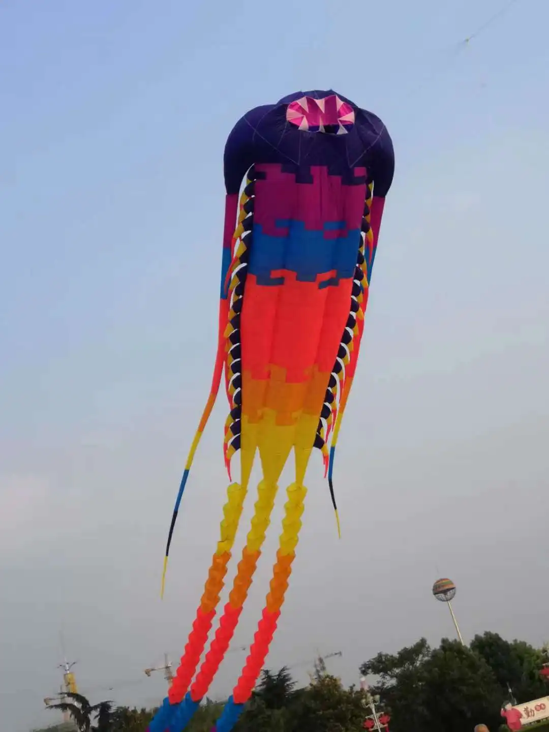Professional Giant Kite Wind Kites Trilobite Soft Kite Flying Kites For