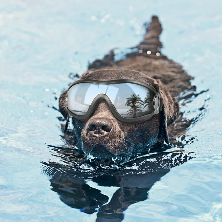 Собака Глаз для домашних животных, очки, солнцезащитные очки, очки для женщин водонепроницаемый солнцезащитный ветронепроницаемый зонт УФ для средних и больших собак плавательный лыжные очки для ношения на улице