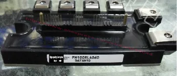 

PM100RLA060