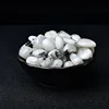Natural Moonstone Crystal Quartz Gravel Specimen 10-30mm Healing Stone Reiki for Aquarium Home Decor Handmade Diy Gift 5