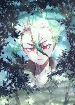 

More style Anime Dr.STONE Ishigami Senku Shishio Tsukasa Art Print Silk Poster Home Wall Decor