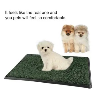 

Grass Pet Dog Cats Toilet Mat Indoor Outdoor Potty Training Grass Turf Patch Training Pad Park Lawn Trainer