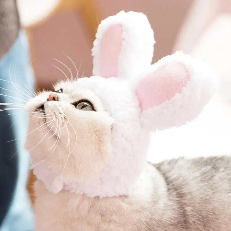 Funny Pet Dog Cat Wig Costume Warm Rabbit Hat For New Year Birthday Party Christmas Cosplay Accessories Props Puppy Headwear8