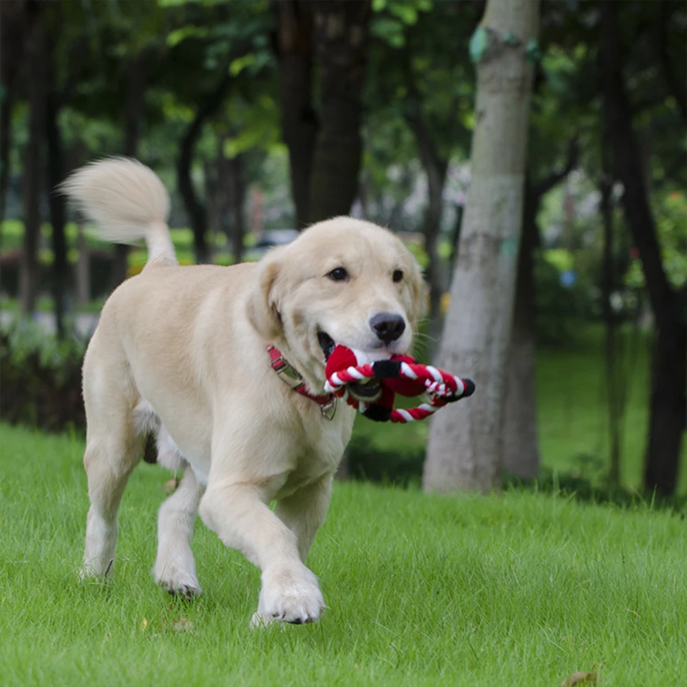 Squeaky Fun Dogs игрушки в форме животных подарочный набор большая не набитая белка, лиса енот для жевательная игрушка для собак игрушка-Волк