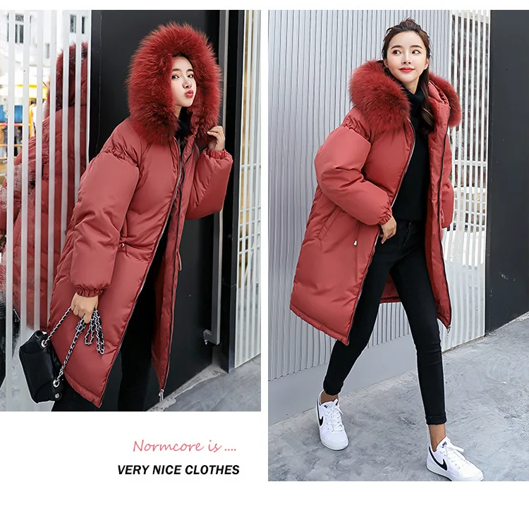 9021804434_1006637240