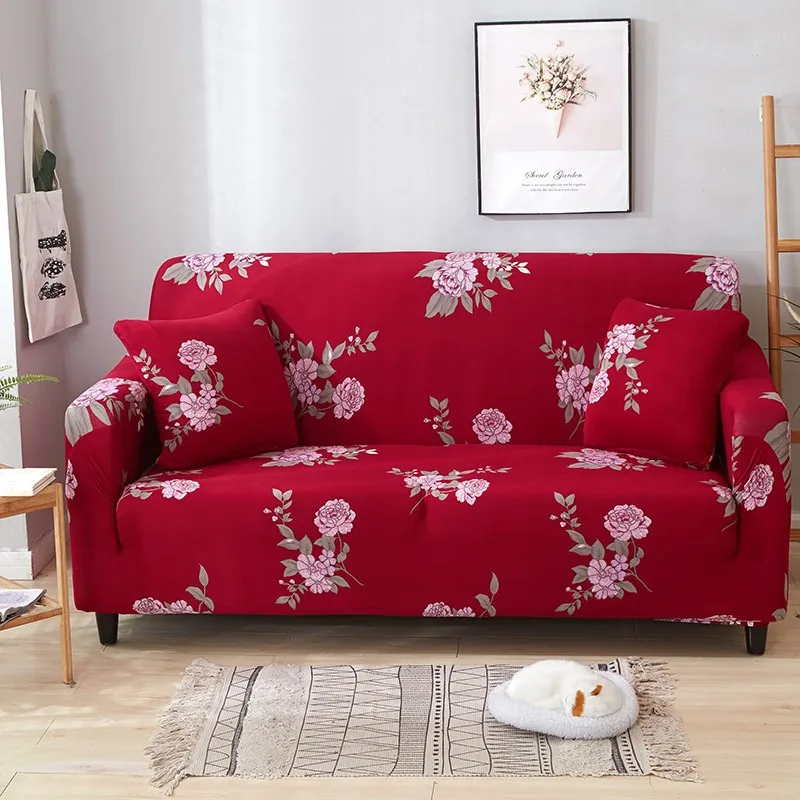 11811127504_1567378574