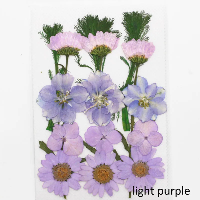 light purple 15-21 шт 1 мешок маленькие сушеные цветы прессованные цветы DIY сохраненные Цветочные украшения дома мини-блоги - Цвет: light purple