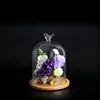 12*16cm Bamboo Base Different Top Glass Dome Vase Home Decoration Transparent Cover Wedding Live Prop DIY Friend Favor Gift 4