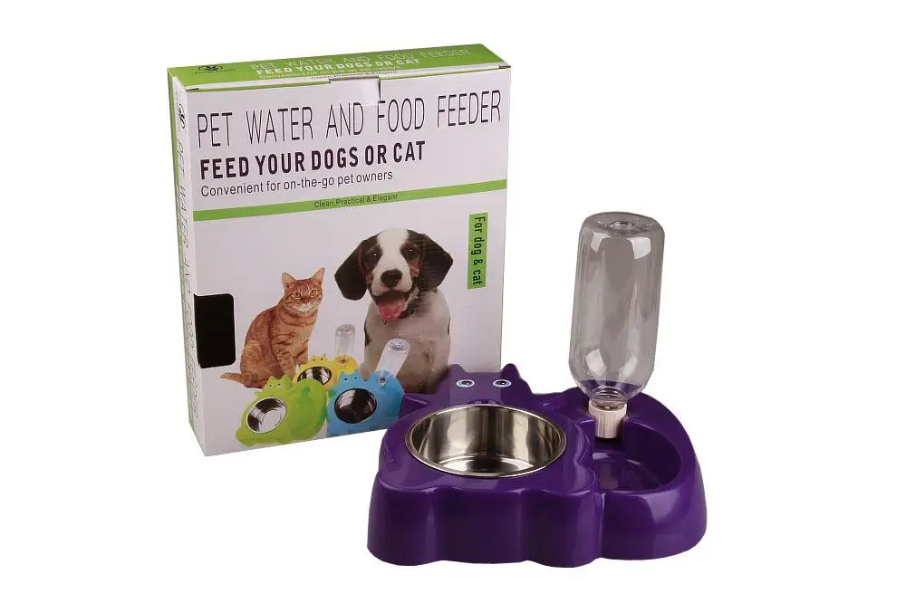 Squirrel frog cartoon dog drinking bowl (26)