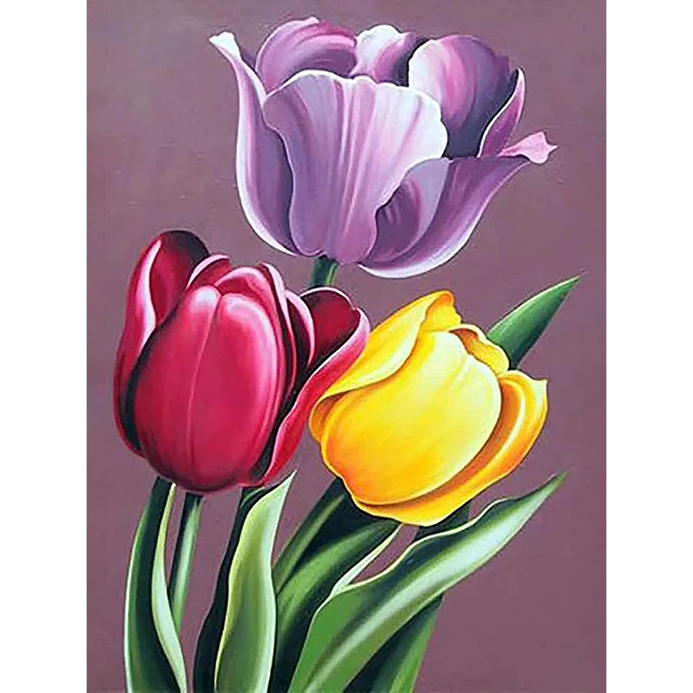 

Набор для вышивки крестом 11CT, Набор для вышивки крестиком с цветами розы, различные иглы для рукоделия, вышивки