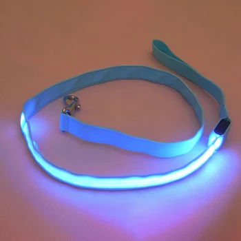

Nylon LED Light Up Dog Leash Night Safety LED Flashing Glow In Dark Dog Collar