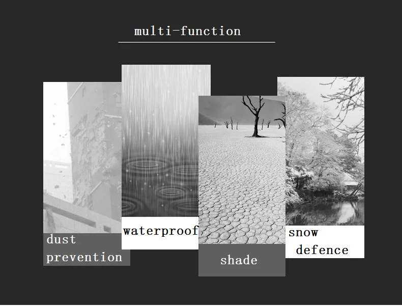 3060067017_943707724