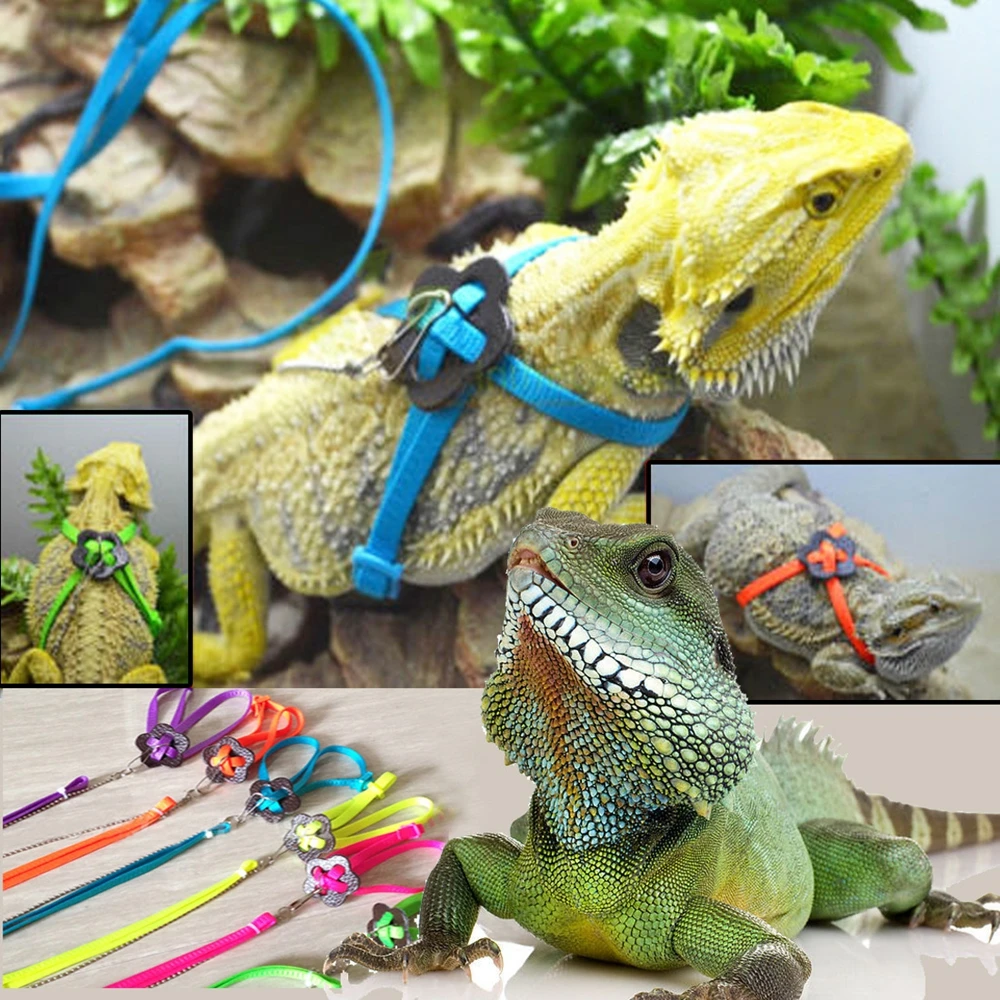 

Durable Multicolor Pet Soft Rope Go Out Adjustable Reptile Lizard Harness Leash TJM9109