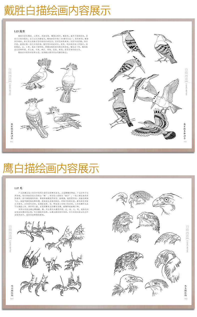 New 5000 Chinese Line Drawings Collection Book Ii Bird&beast