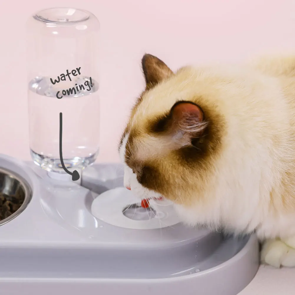 Stainless Steel Cat Dog Bowl Automatic Pet Feeder Water Dispenser Cat Dog Drinking Bowl Dogs Feeder 1 Stainless Steel Cat Dog Bowl Automatic Pet Feeder Water Dispenser Cat Dog Drinking Bowl Dogs Feeder 3