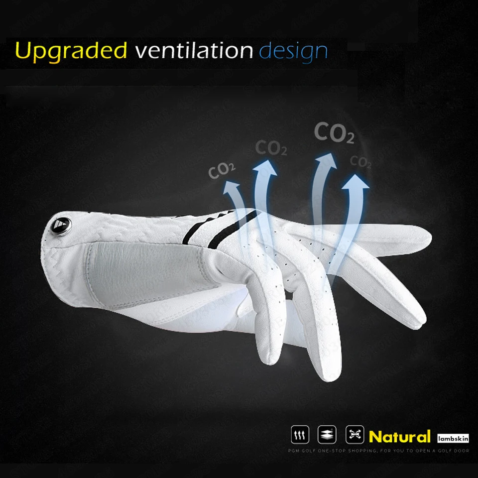 20191225_131248_025副本