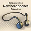 Earphones & Headphones