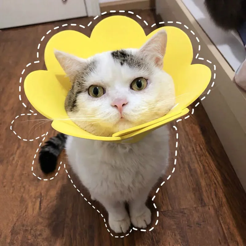 Cats Products For Pets Sun Slower EVA Sponge Light Cat Collar Cover Cat Products Neck Ring Anti-Licking Cat Collar Para Gatos Cats Products For Pets Sun Slower EVA Sponge Light Cat Collar Cover Cat Products Neck Ring Anti-Licking Cat Collar Para Gatos