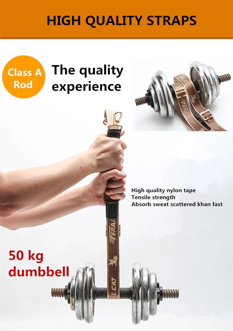 3952003374_1884326390